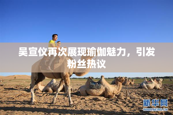 吴宣仪再次展现瑜伽魅力，引发粉丝热议