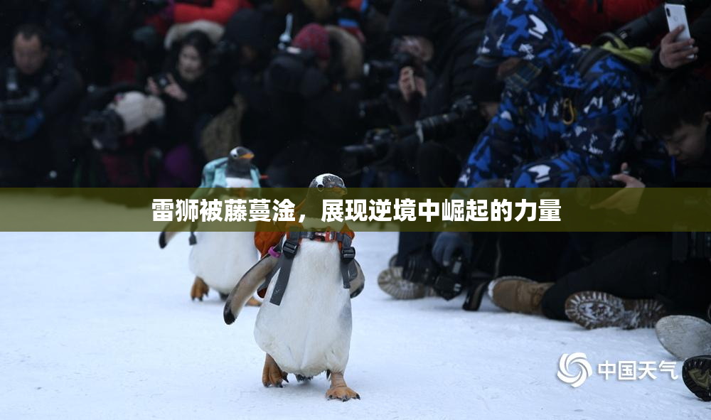 雷狮被藤蔓淦，展现逆境中崛起的力量