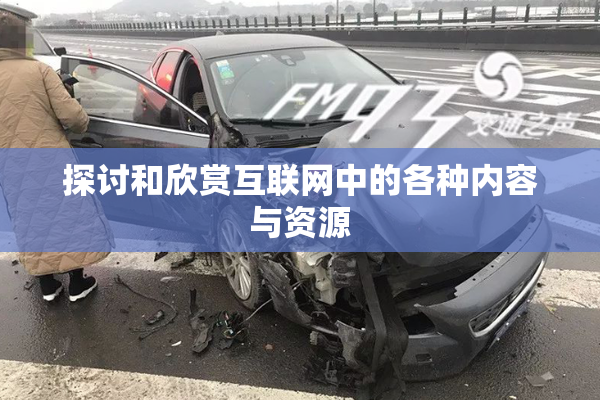 探讨和欣赏互联网中的各种内容与资源
