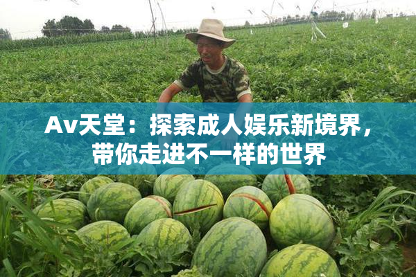 Av天堂：探索成人娱乐新境界，带你走进不一样的世界