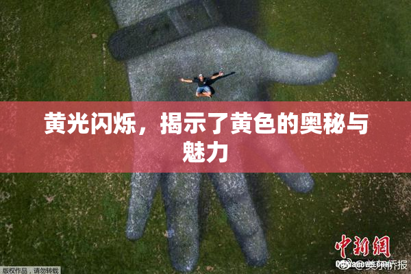 黄光闪烁，揭示了黄色的奥秘与魅力