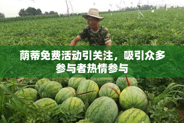 荫蒂免费活动引关注，吸引众多参与者热情参与