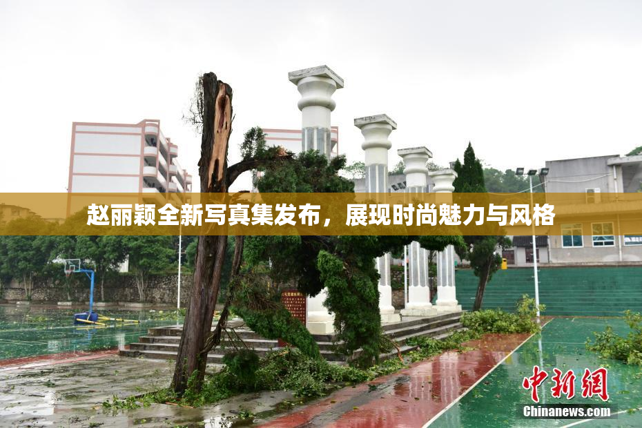 赵丽颖全新写真集发布，展现时尚魅力与风格