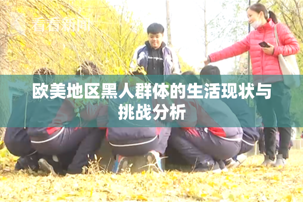 欧美地区黑人群体的生活现状与挑战分析