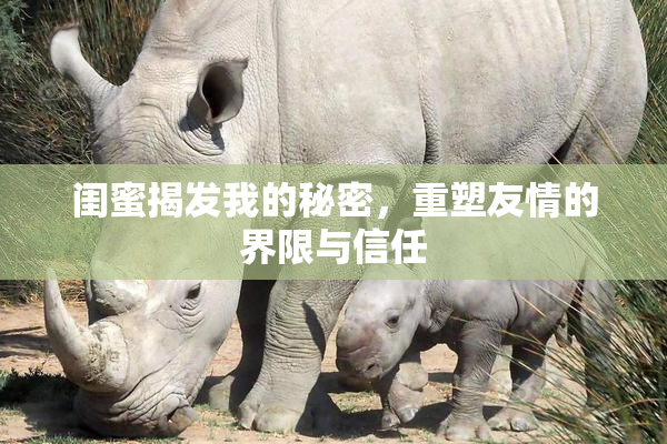 闺蜜揭发我的秘密，重塑友情的界限与信任