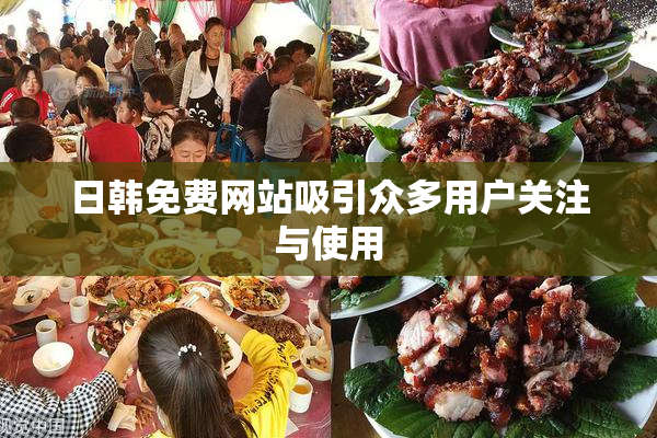 日韩免费网站吸引众多用户关注与使用