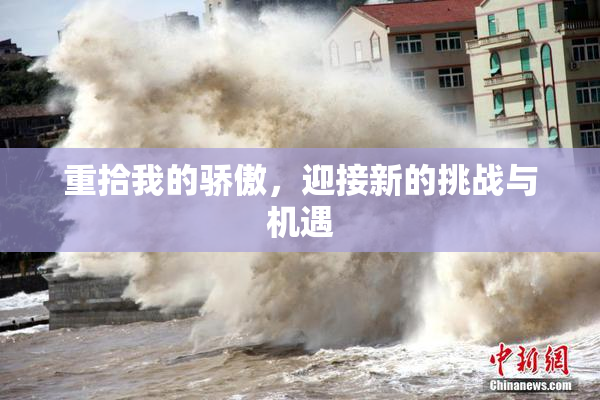 重拾我的骄傲，迎接新的挑战与机遇