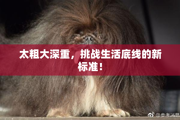太粗大深重，挑战生活底线的新标准！