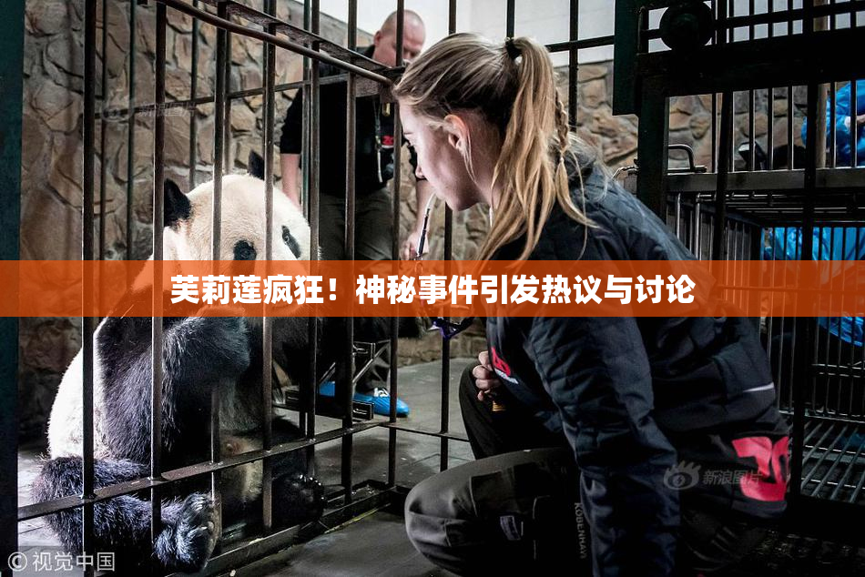 芙莉莲疯狂！神秘事件引发热议与讨论