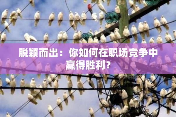 脱颖而出：你如何在职场竞争中赢得胜利？