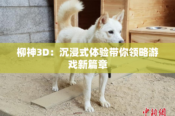 柳神3D：沉浸式体验带你领略游戏新篇章
