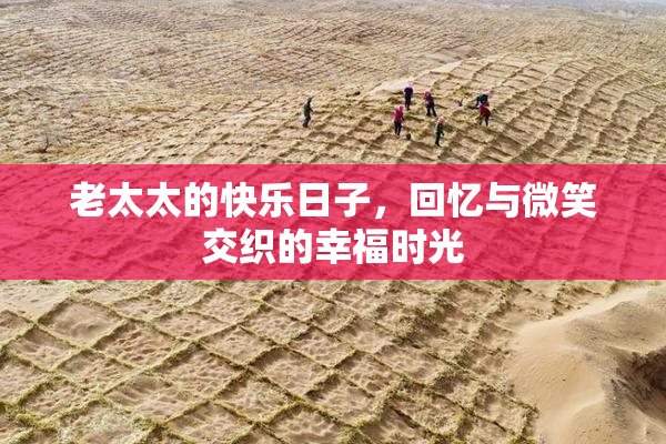 老太太的快乐日子，回忆与微笑交织的幸福时光