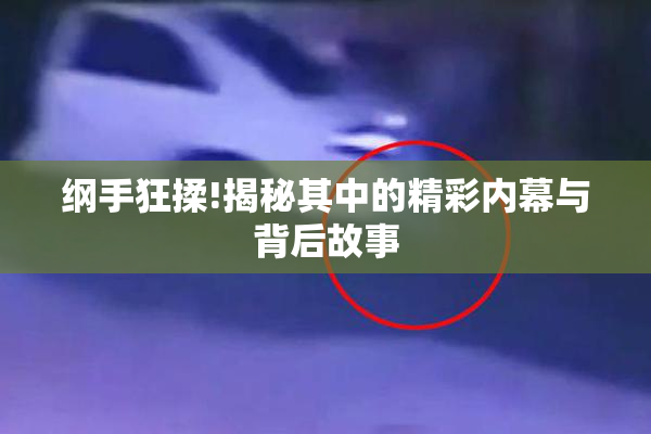 纲手狂揉!揭秘其中的精彩内幕与背后故事