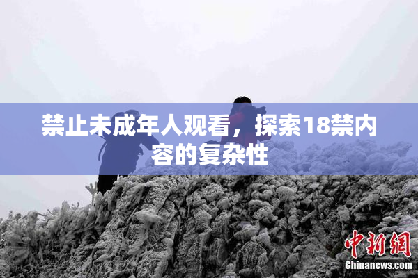 禁止未成年人观看，探索18禁内容的复杂性
