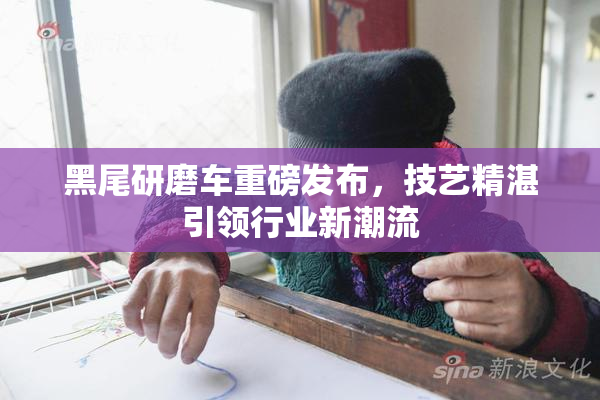黑尾研磨车重磅发布，技艺精湛引领行业新潮流