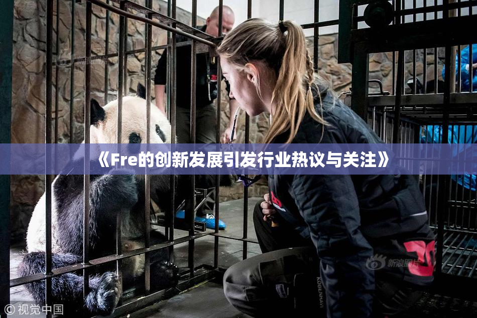 《Fre的创新发展引发行业热议与关注》