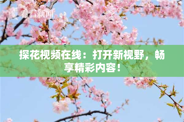 探花视频在线：打开新视野，畅享精彩内容！