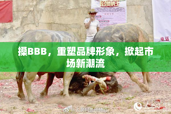 搡BBB，重塑品牌形象，掀起市场新潮流