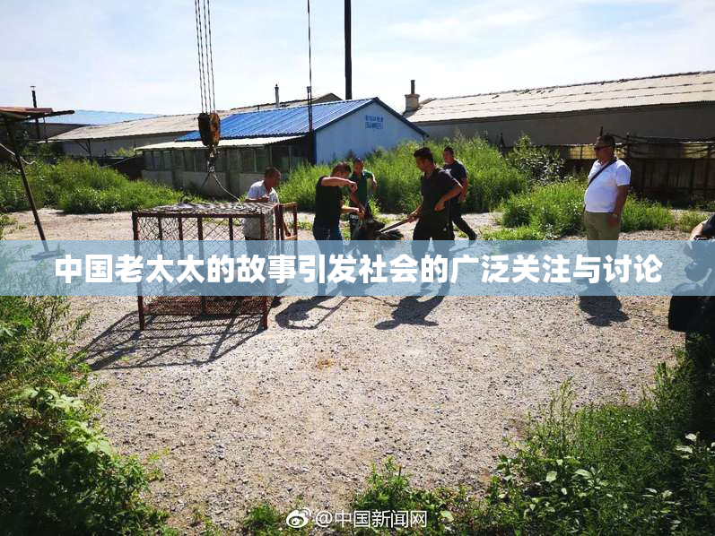 中国老太太的故事引发社会的广泛关注与讨论