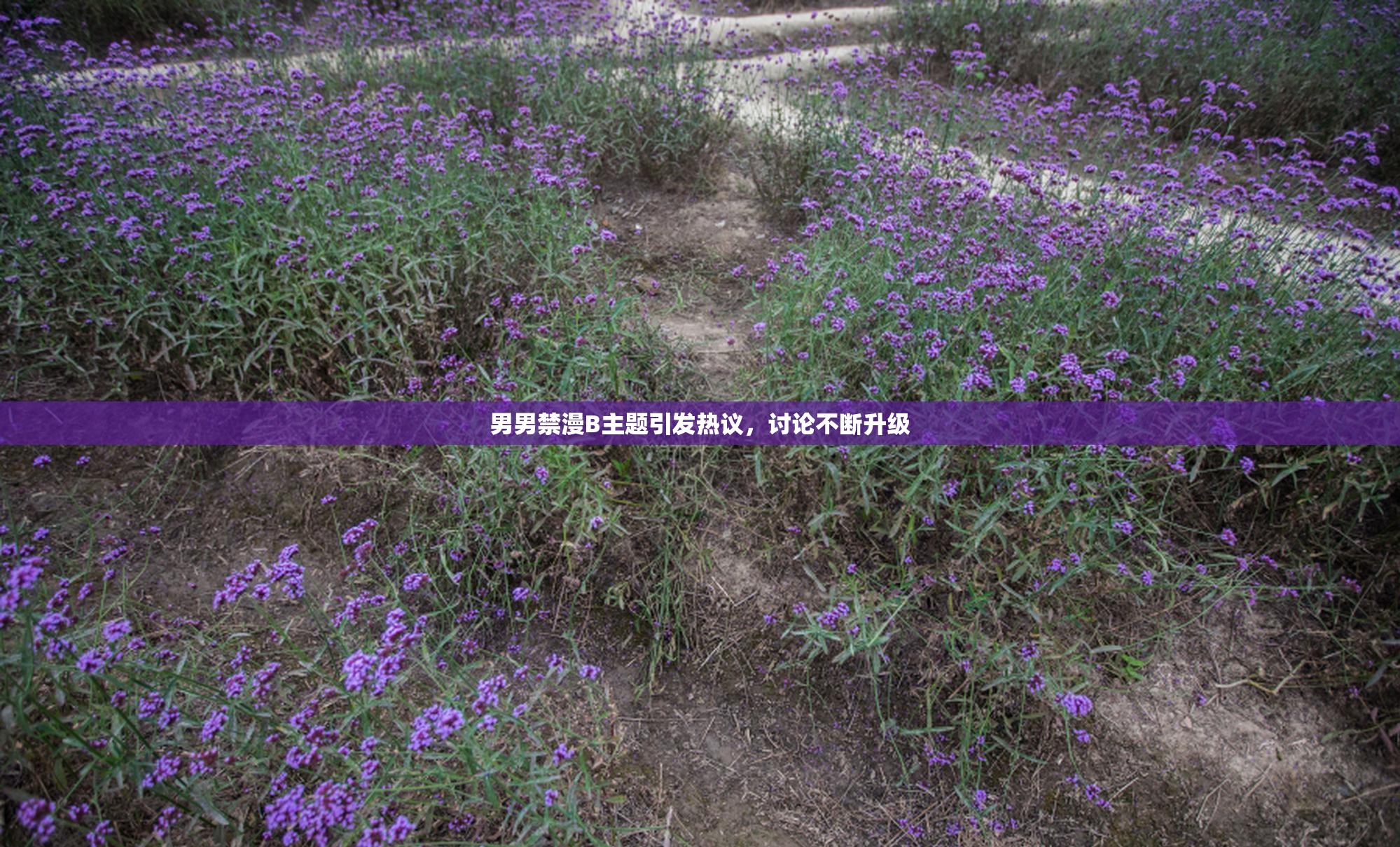 男男禁漫B主题引发热议，讨论不断升级