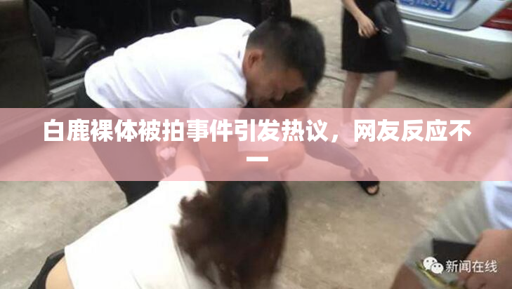 白鹿裸体被拍事件引发热议，网友反应不一