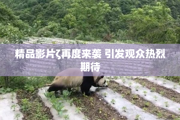精品影片ζ再度来袭 引发观众热烈期待