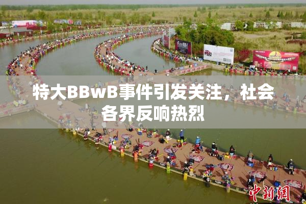 特大BBwB事件引发关注，社会各界反响热烈