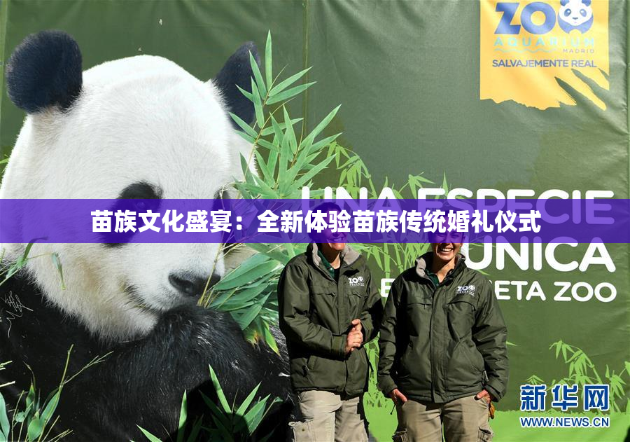 苗族文化盛宴：全新体验苗族传统婚礼仪式