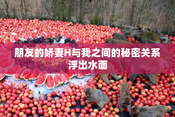 朋友的娇妻H与我之间的秘密关系浮出水面