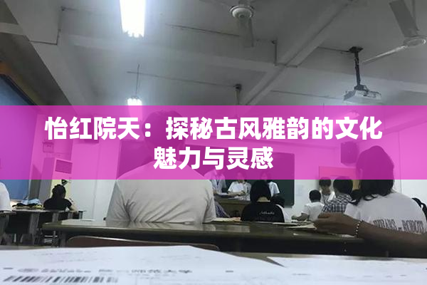 怡红院天：探秘古风雅韵的文化魅力与灵感