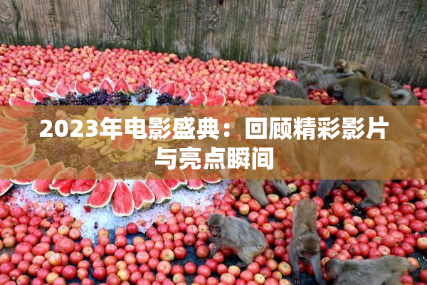 2023年电影盛典：回顾精彩影片与亮点瞬间
