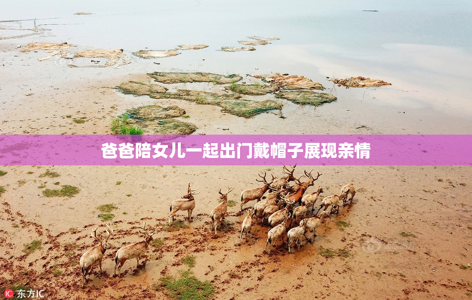 爸爸陪女儿一起出门戴帽子展现亲情