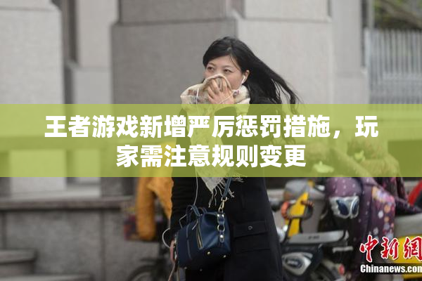 王者游戏新增严厉惩罚措施，玩家需注意规则变更