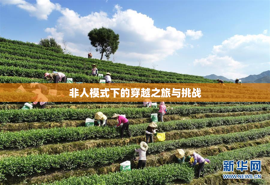 非人模式下的穿越之旅与挑战