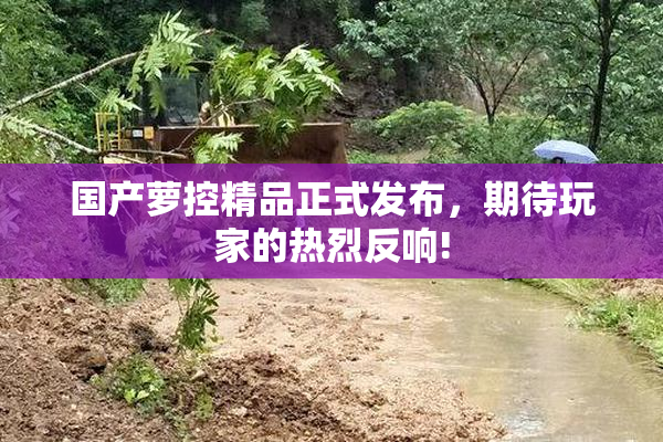 国产萝控精品正式发布，期待玩家的热烈反响!