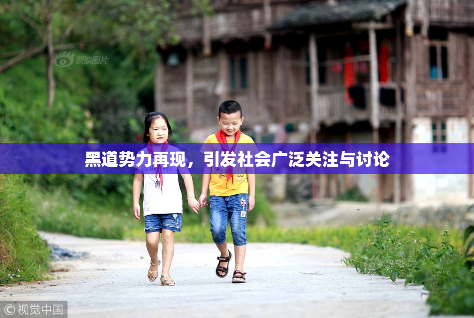 黑道势力再现，引发社会广泛关注与讨论