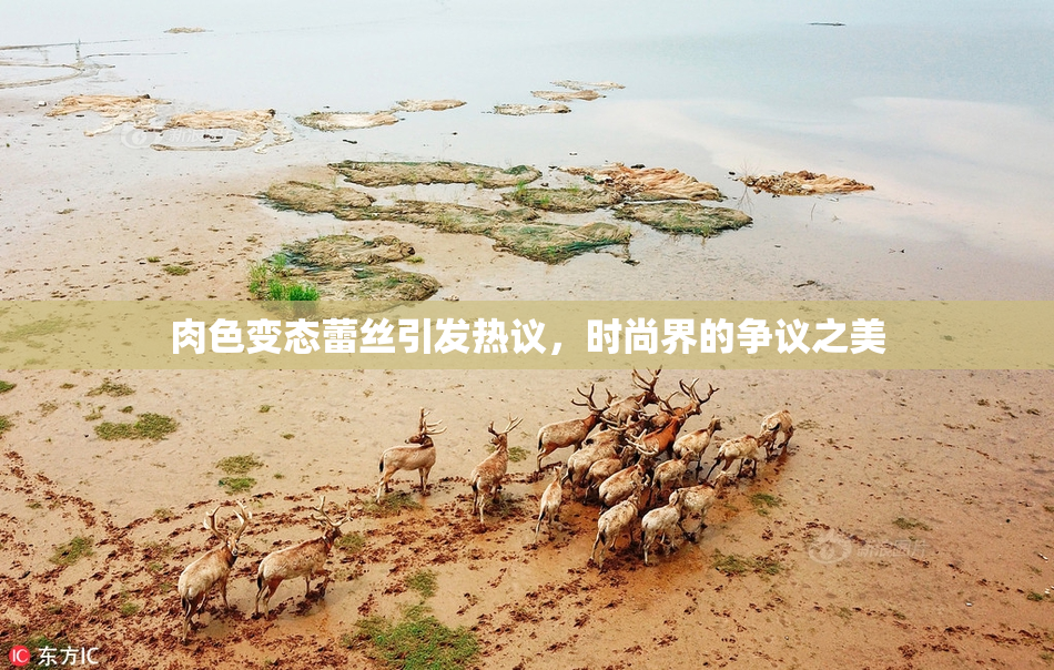 肉色变态蕾丝引发热议，时尚界的争议之美