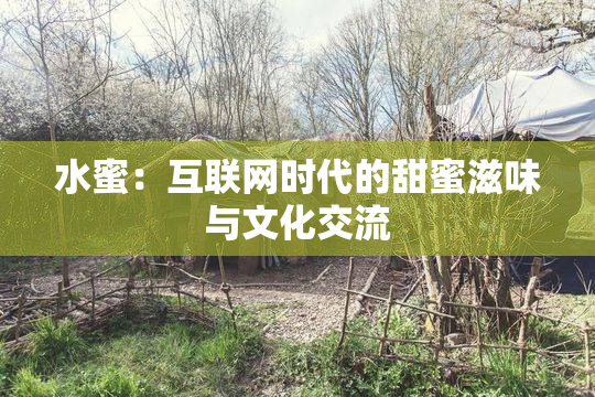 水蜜：互联网时代的甜蜜滋味与文化交流
