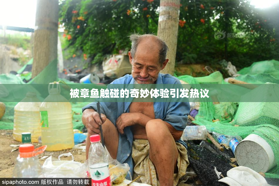 被章鱼触碰的奇妙体验引发热议