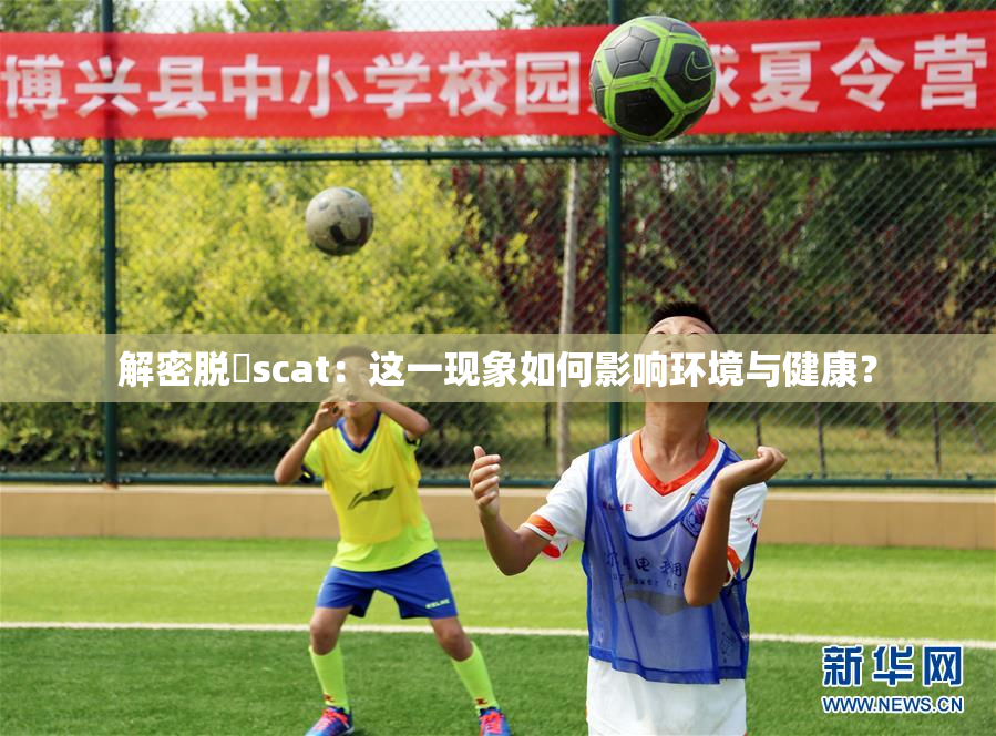 解密脱糞scat：这一现象如何影响环境与健康？