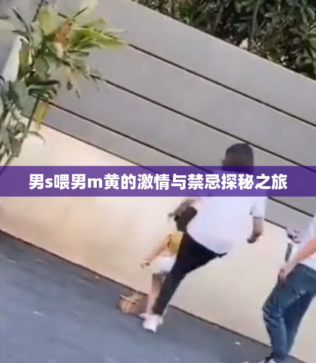 男s喂男m黄的激情与禁忌探秘之旅