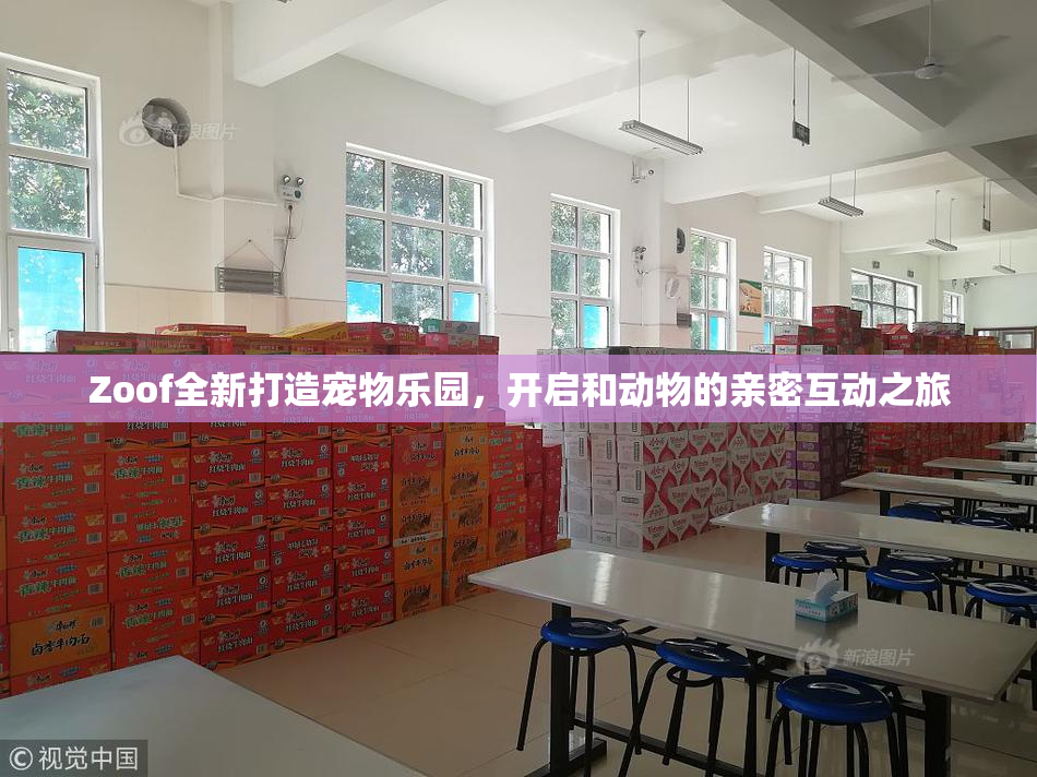 Zoof全新打造宠物乐园，开启和动物的亲密互动之旅