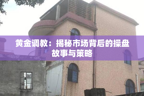 黄金调教：揭秘市场背后的操盘故事与策略