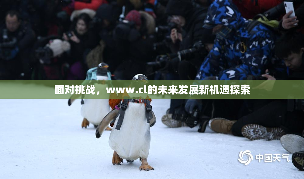 面对挑战，www.cl的未来发展新机遇探索