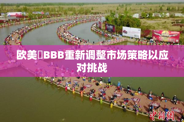 欧美槡BBB重新调整市场策略以应对挑战