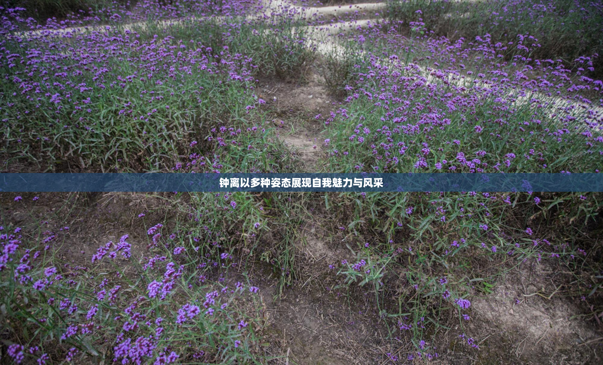 钟离以多种姿态展现自我魅力与风采
