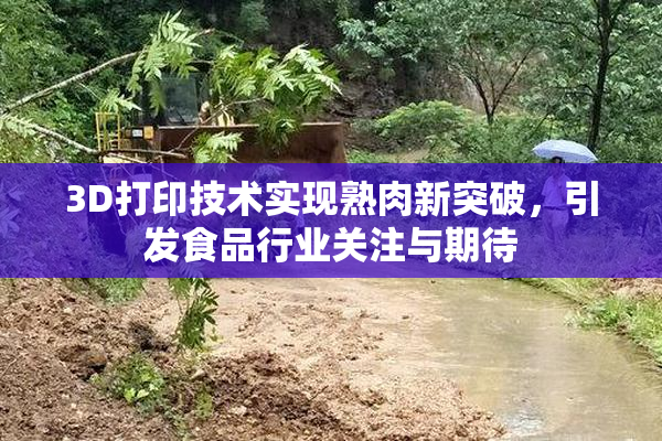 3D打印技术实现熟肉新突破，引发食品行业关注与期待