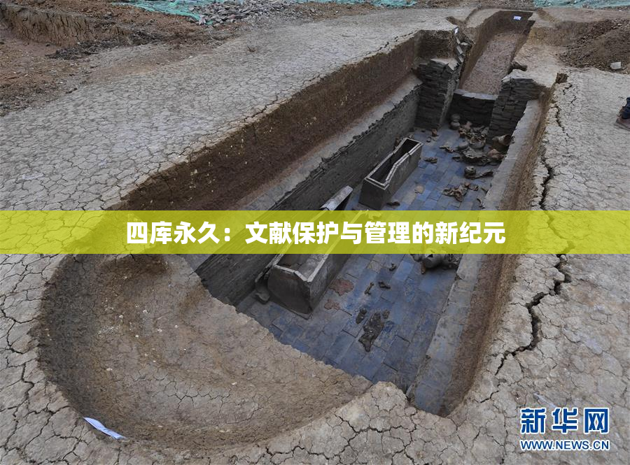 四库永久：文献保护与管理的新纪元