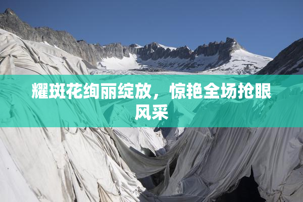 耀斑花绚丽绽放，惊艳全场抢眼风采