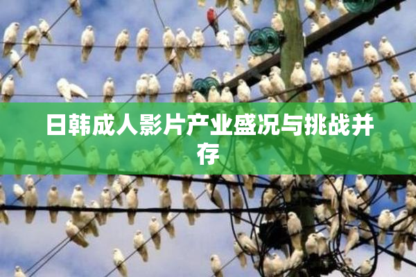 日韩成人影片产业盛况与挑战并存